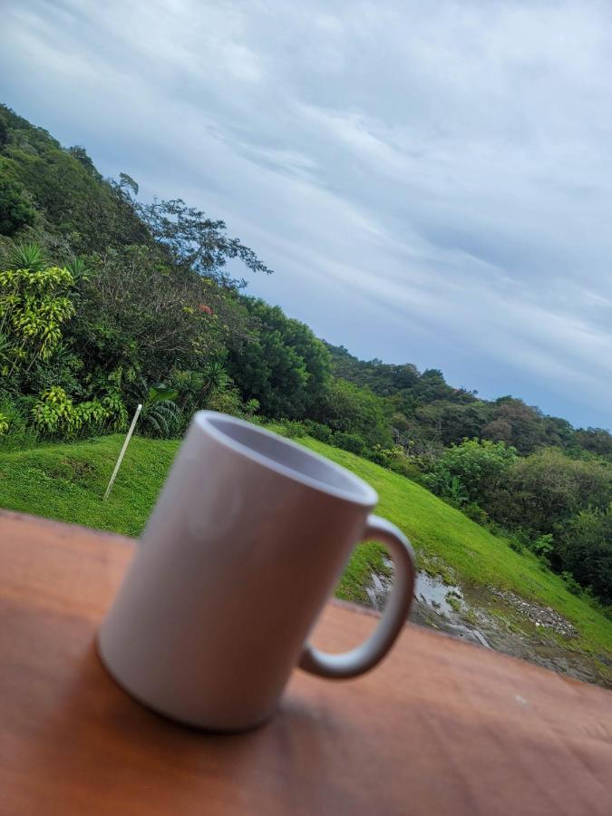 Aparthotel Cabinas Selva Verde Monteverde Zewnętrze zdjęcie