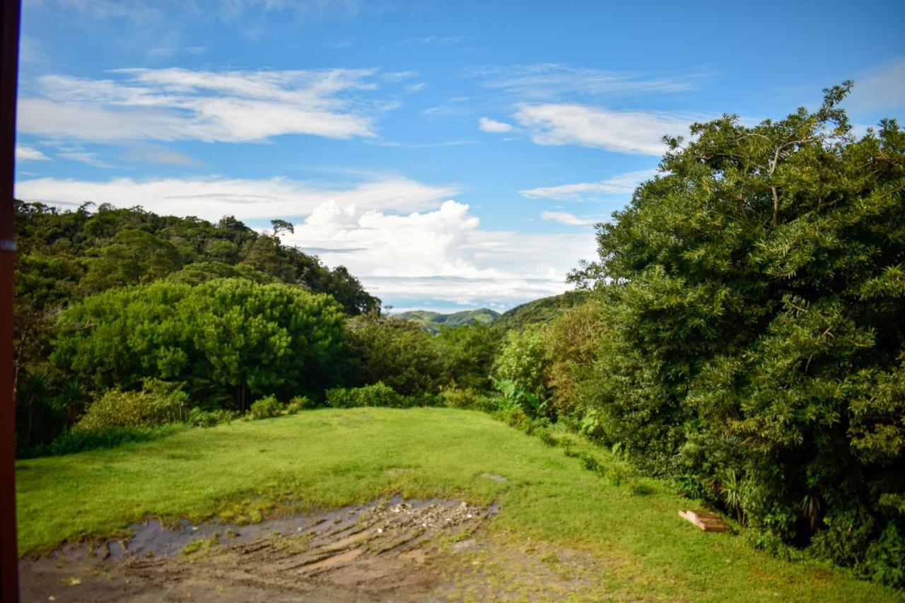 Cabinas Selva Verde Monteverde Zewnętrze zdjęcie