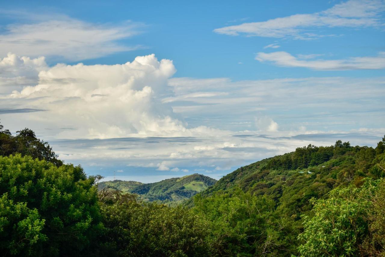 Cabinas Selva Verde Monteverde Zewnętrze zdjęcie